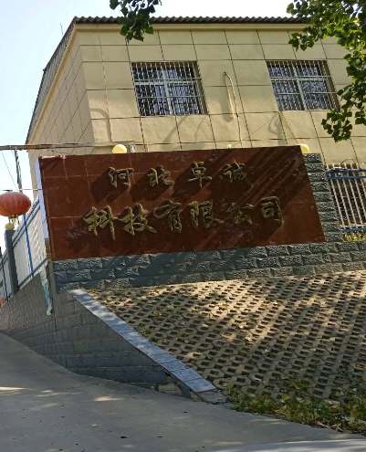 现场照片