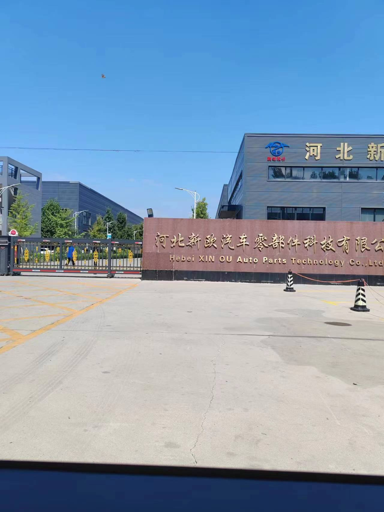 现场照片