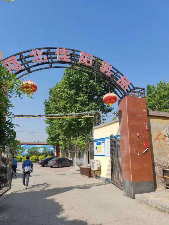 现场照片