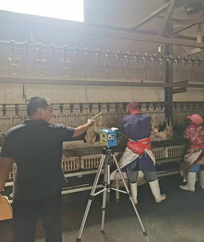 现场照片