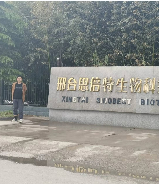 现场照片