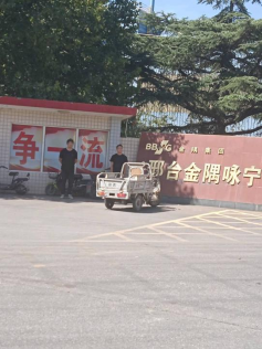 现场照片